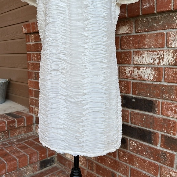 NWT Ark & Co White Raw Hem Ruffle Shift Dress Women's Size Small - Picture 3 of 8